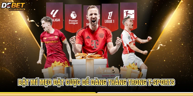 Bật mí mẹo đặt cược dễ dàng thắng trong T-Sports